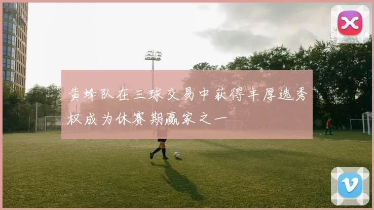 黄蜂队在三球交易中获得丰厚选秀权成为休赛期赢家之一
