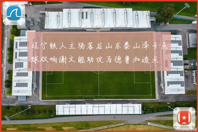 辽宁铁人主场落后山东泰山泽卡点球双响谢文能助攻马德鲁加造点