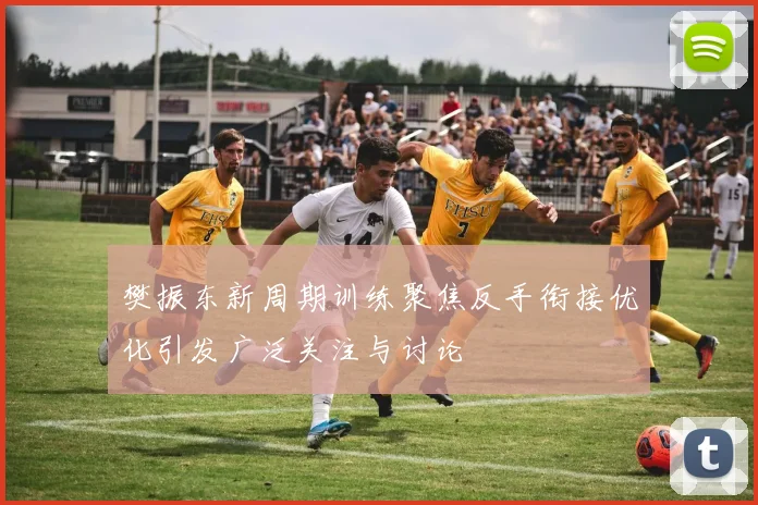 樊振东新周期训练聚焦反手衔接优化引发广泛关注与讨论