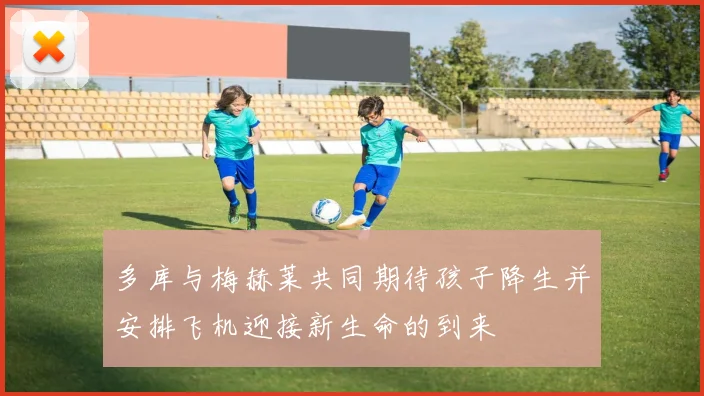 多库与梅赫莱共同期待孩子降生并安排飞机迎接新生命的到来